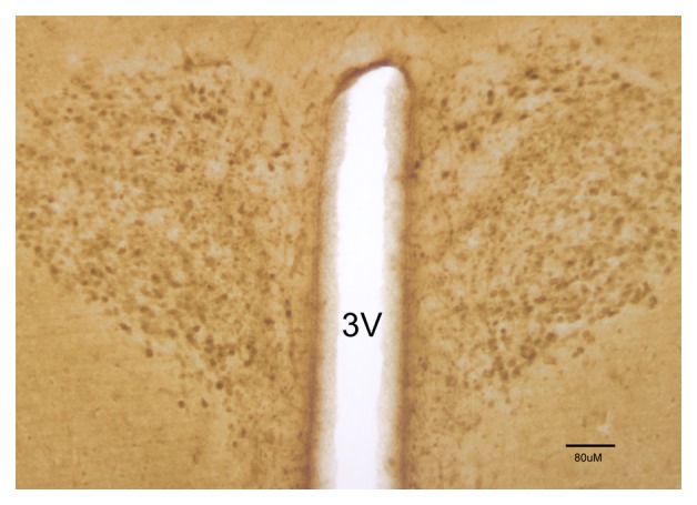 Fig. 7