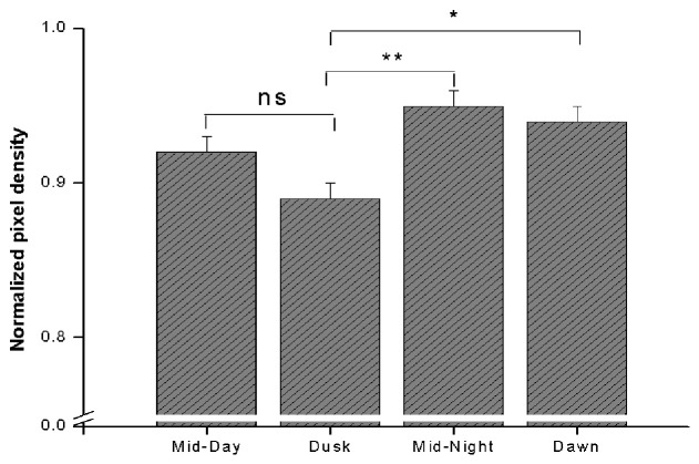 Fig. 4