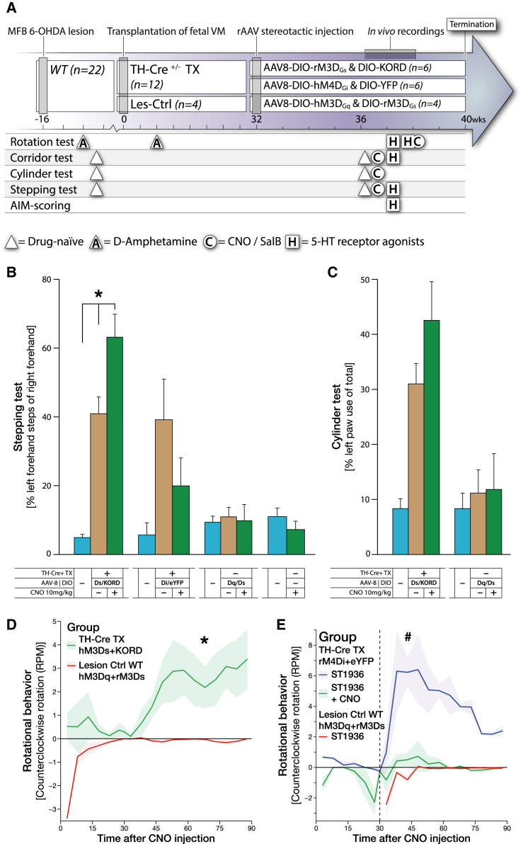 Figure 6