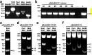FIG 2