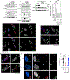 Figure 6: