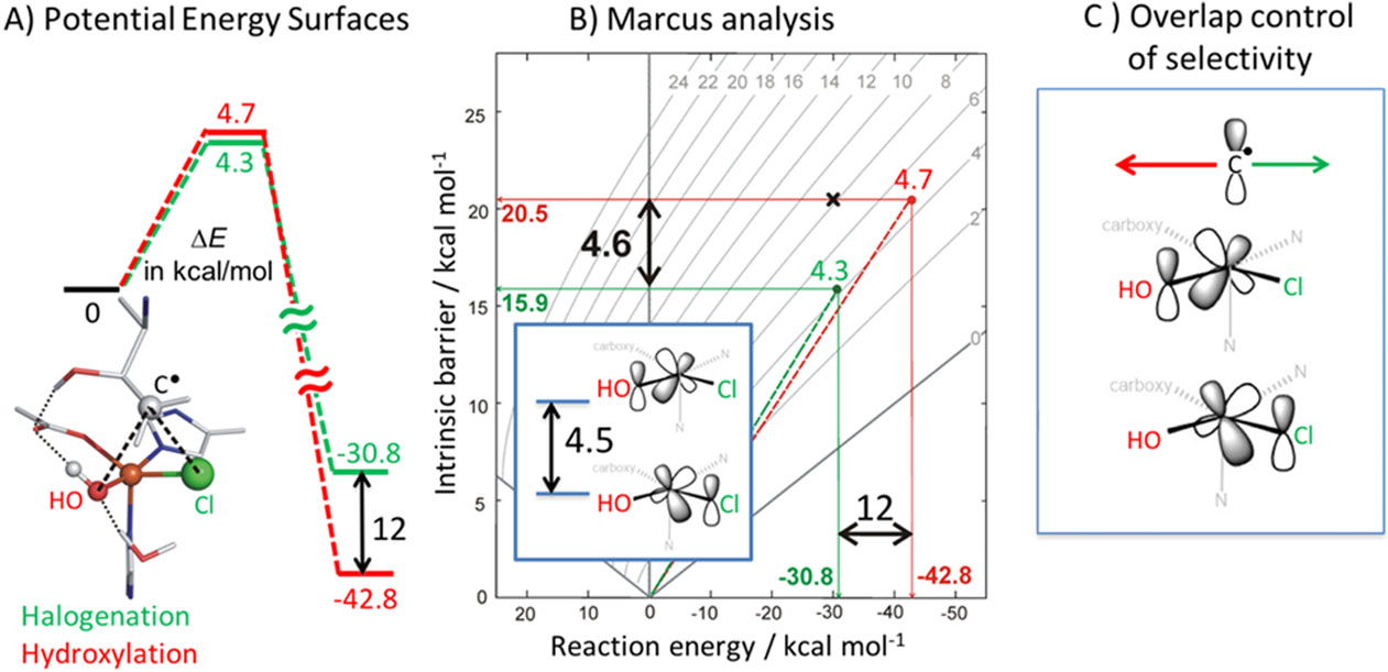 Fig 15: