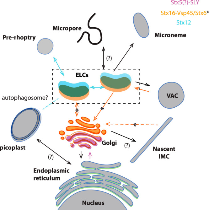 FIG 9