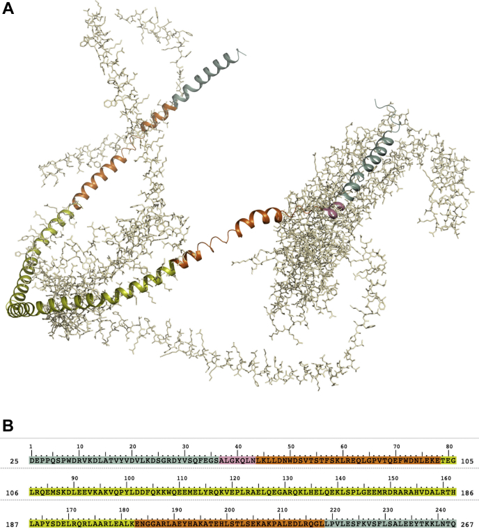 Fig. 1