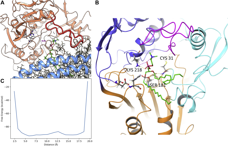 Fig. 9