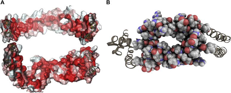 Fig. 4