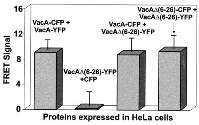 FIG. 5.