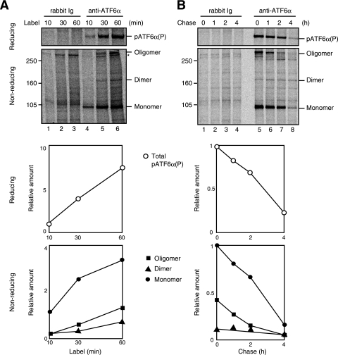 FIG. 4.