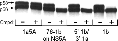 FIG. 6.