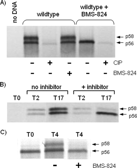 FIG. 7.