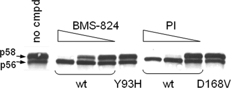 FIG. 5.