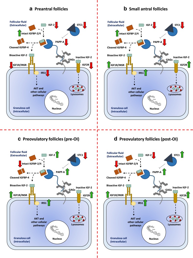 Fig. 2