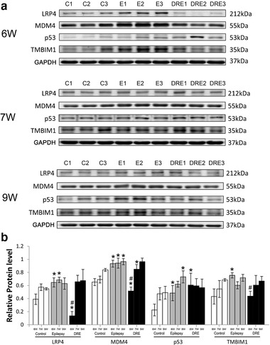 FIGURE 6