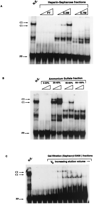 FIG. 6