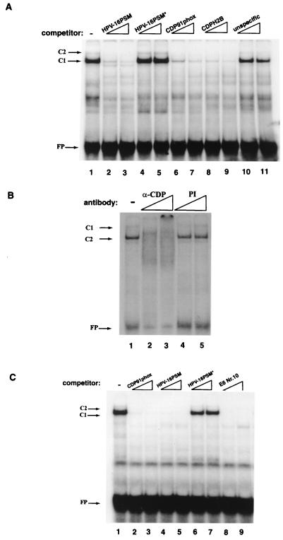 FIG. 7