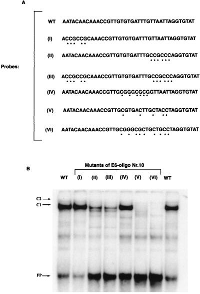 FIG. 8