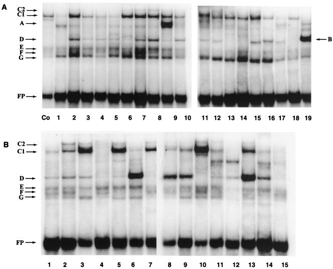 FIG. 5