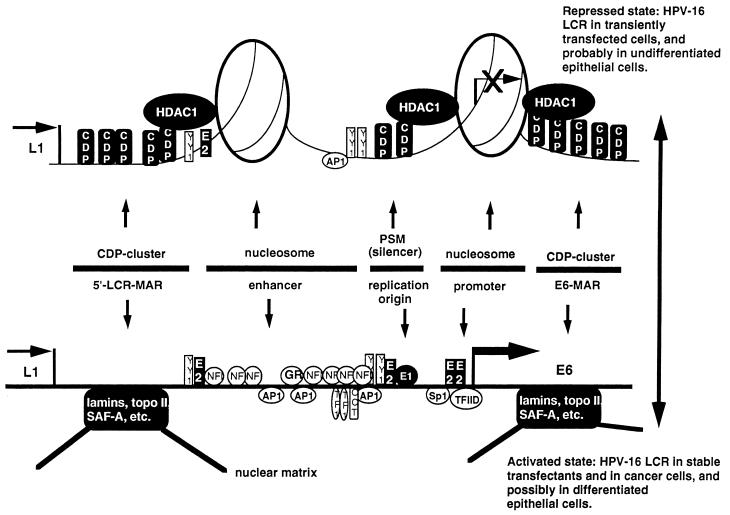 FIG. 10