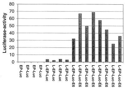 FIG. 4