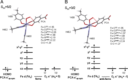 Fig. 8.