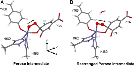 Fig. 10.