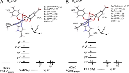 Fig. 11.