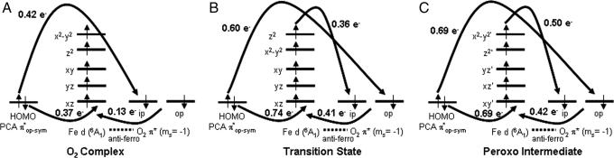 Fig. 9.