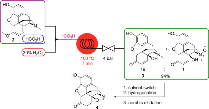 Scheme 8