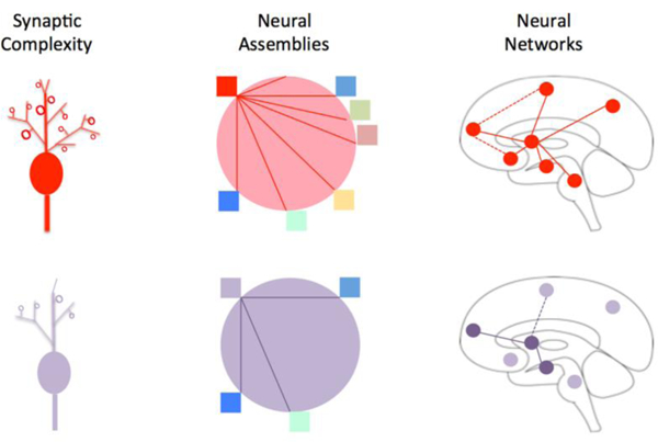 Figure 3: