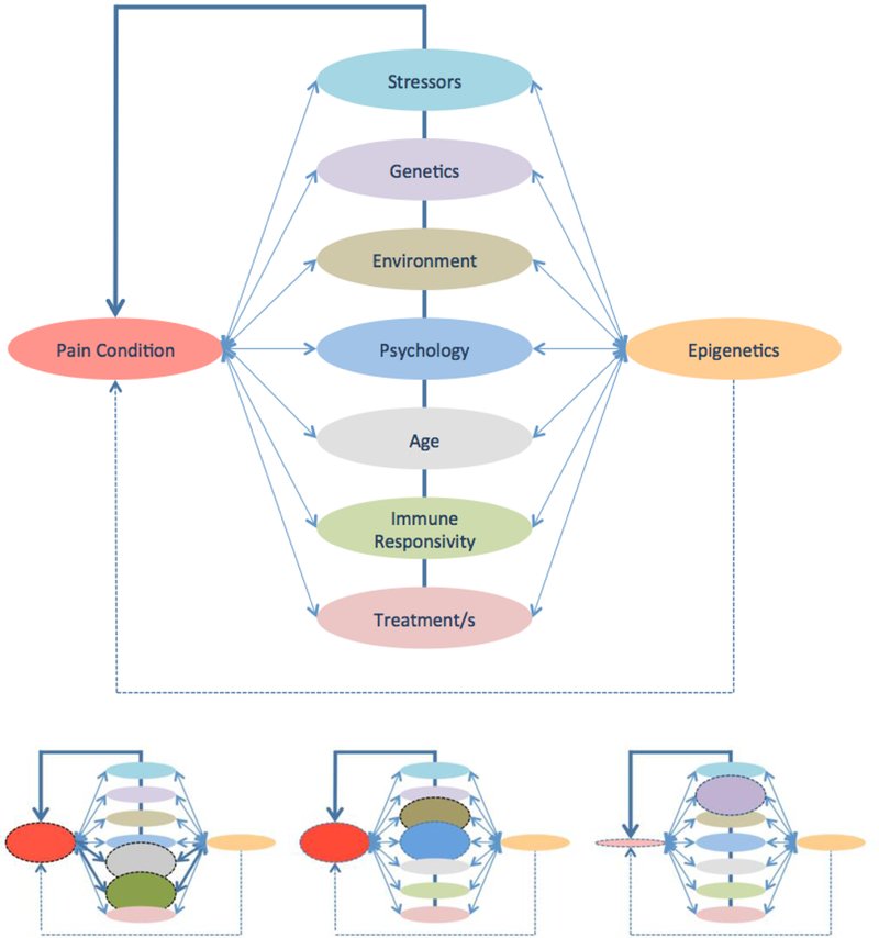 Figure 2: