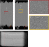 Figure 7—figure supplement 1.