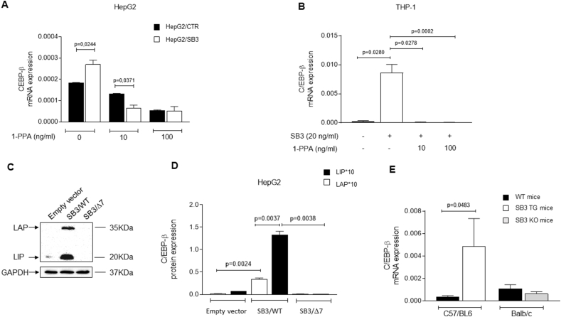 Figure 6