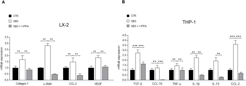 Figure 5