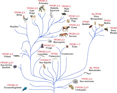 Fig. 3.