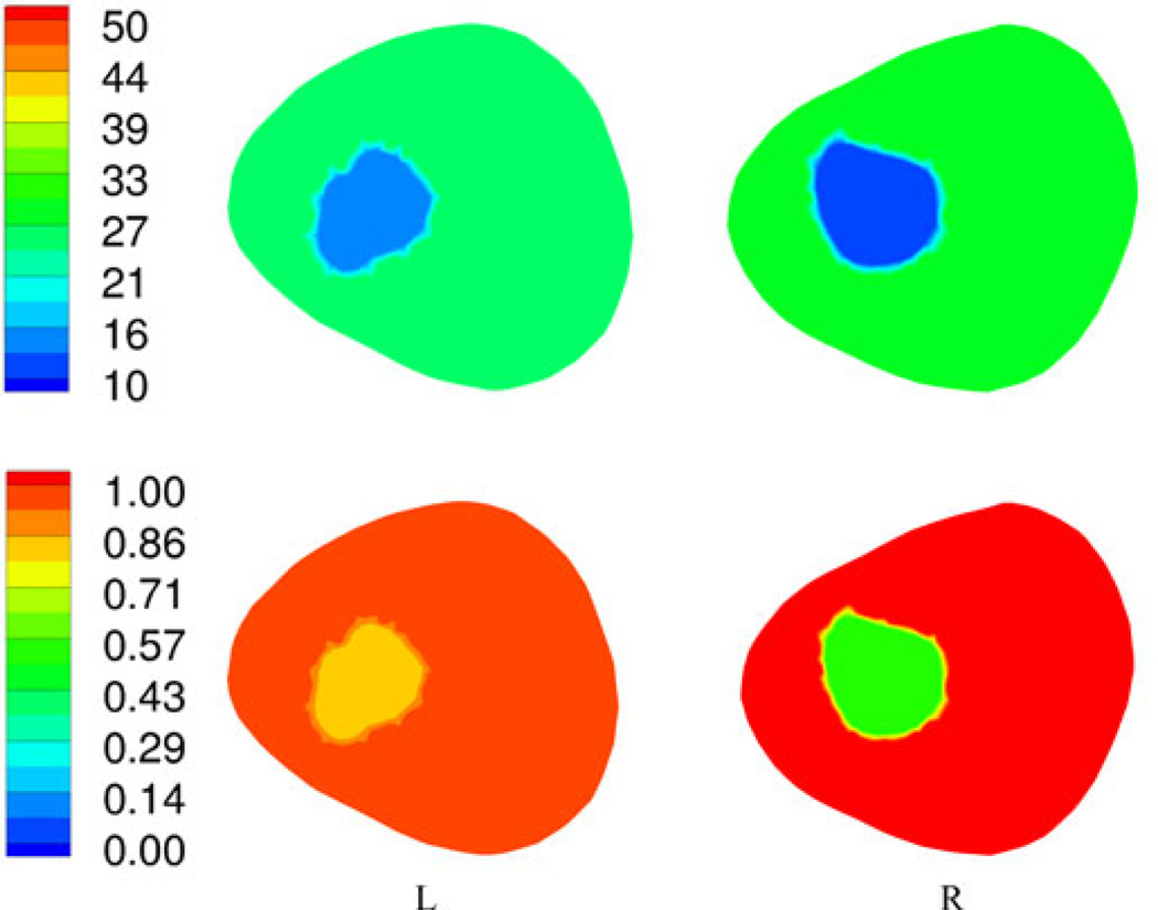 Fig. 9