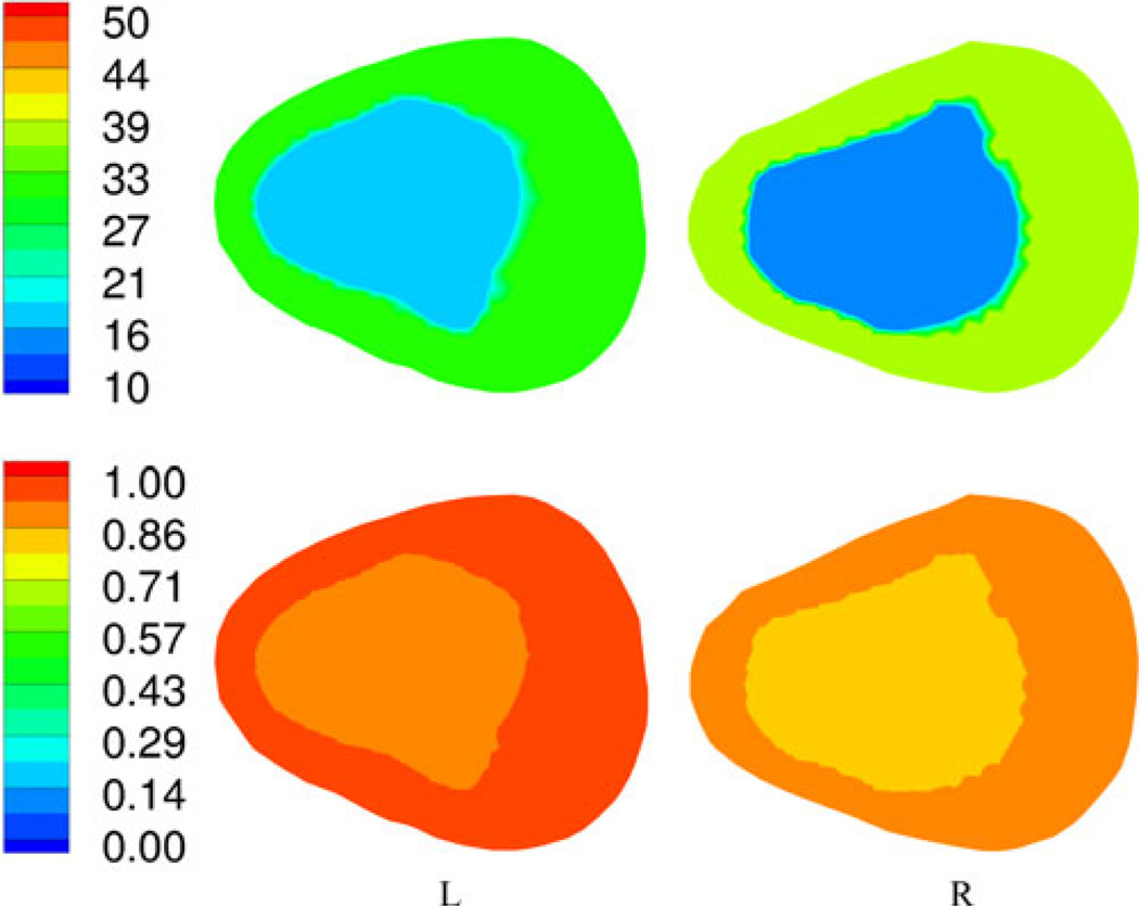 Fig. 11