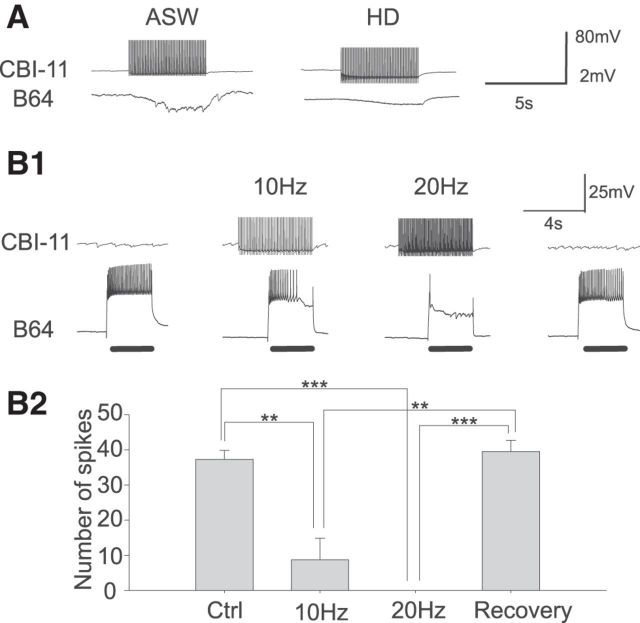 Figure 10.