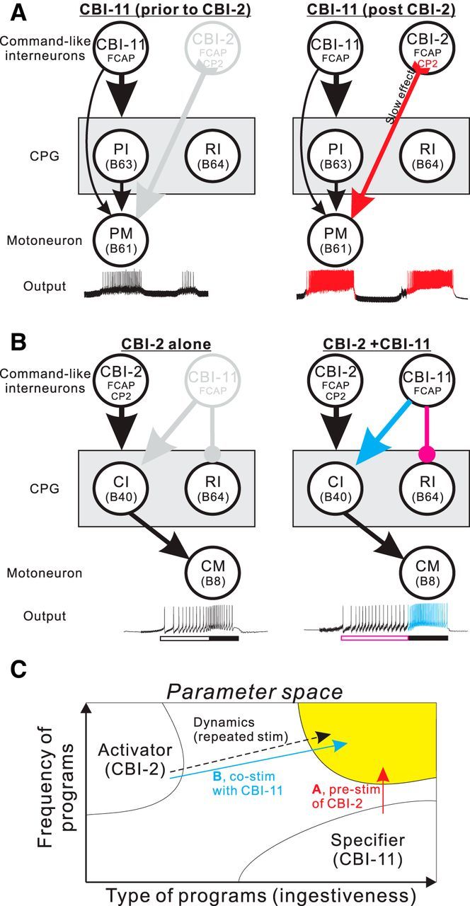 Figure 11.