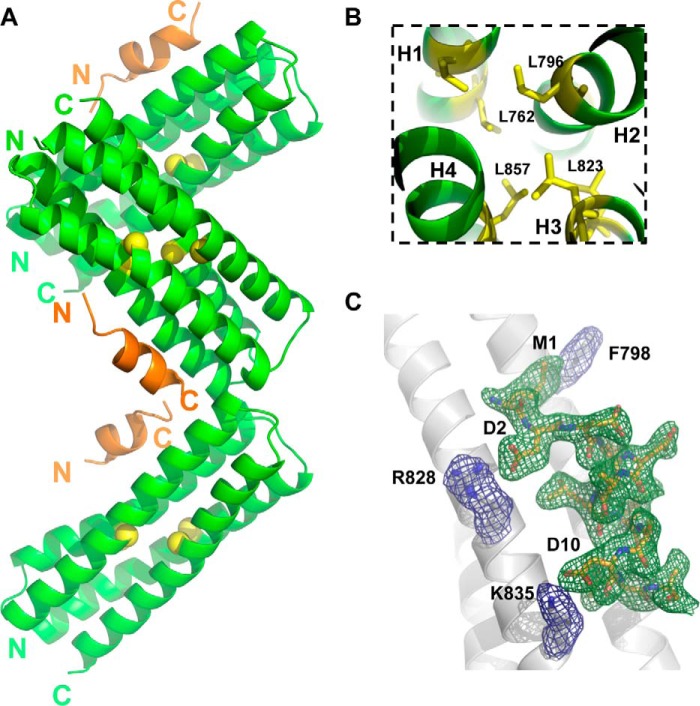 Figure 5.