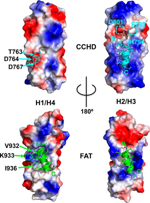 Figure 6.