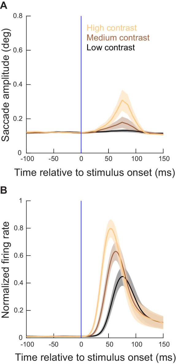 Figure 3—figure supplement 1.