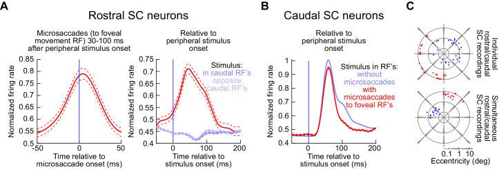 Figure 11.