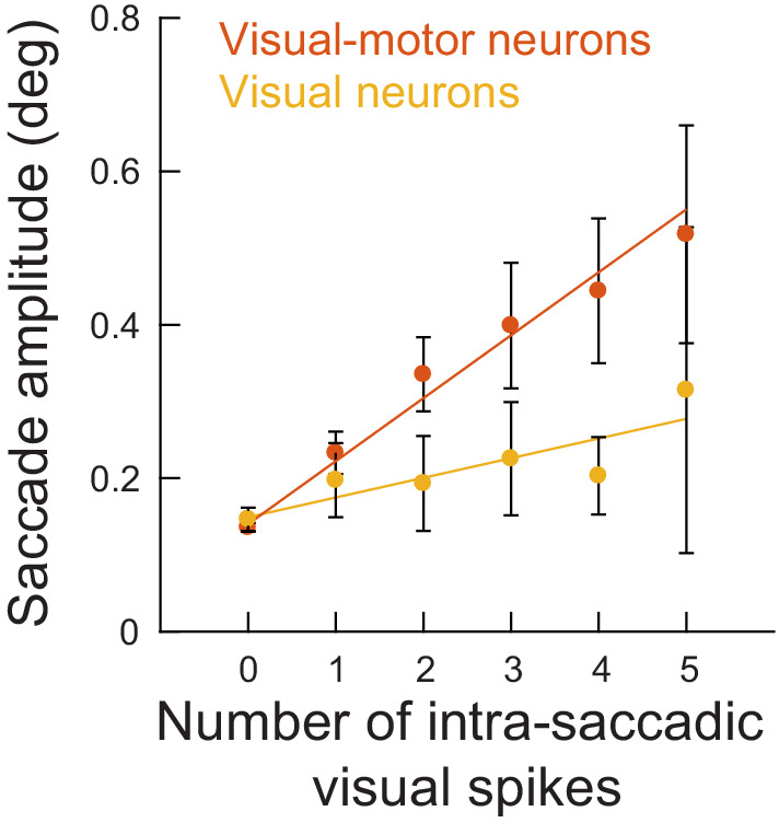 Figure 4—figure supplement 1.