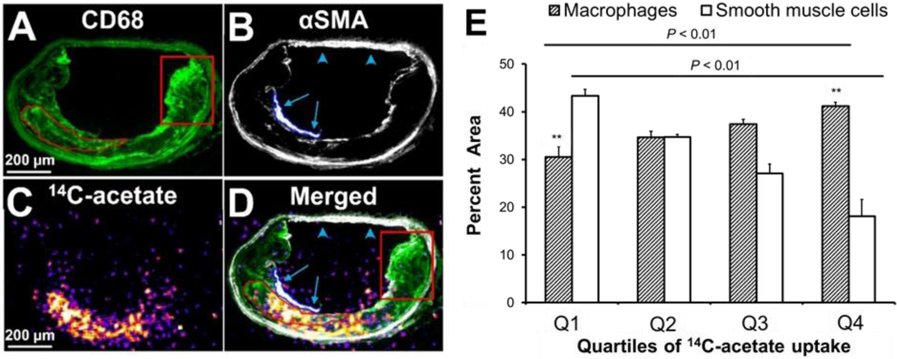 Figure 2: