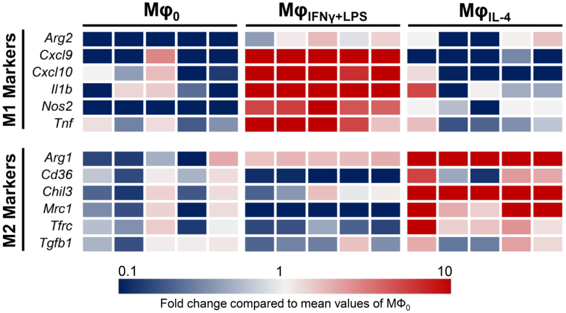 Figure 3: