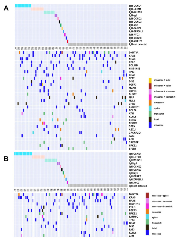 Circulating Tumor Dna Less Invasive More Representative Method To Unveil The Genomic Landscape