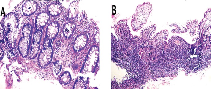 Fig.3