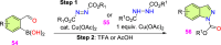 Scheme 54