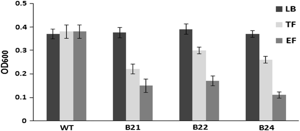 Fig. 8