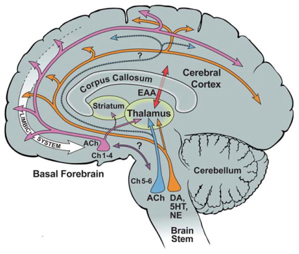 Figure 17